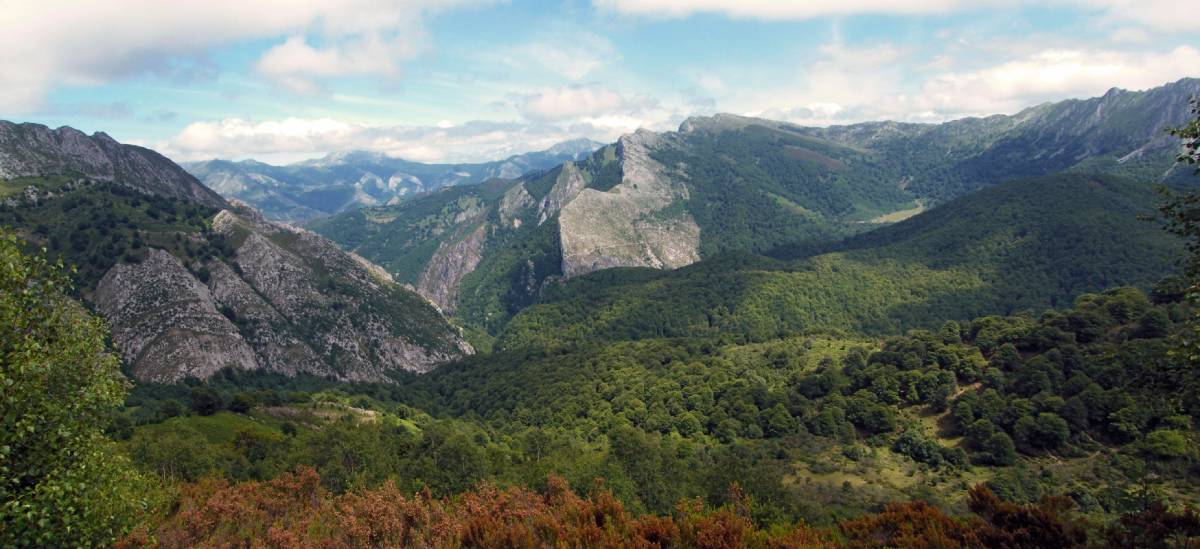 Parque Natural de Redes Asturias