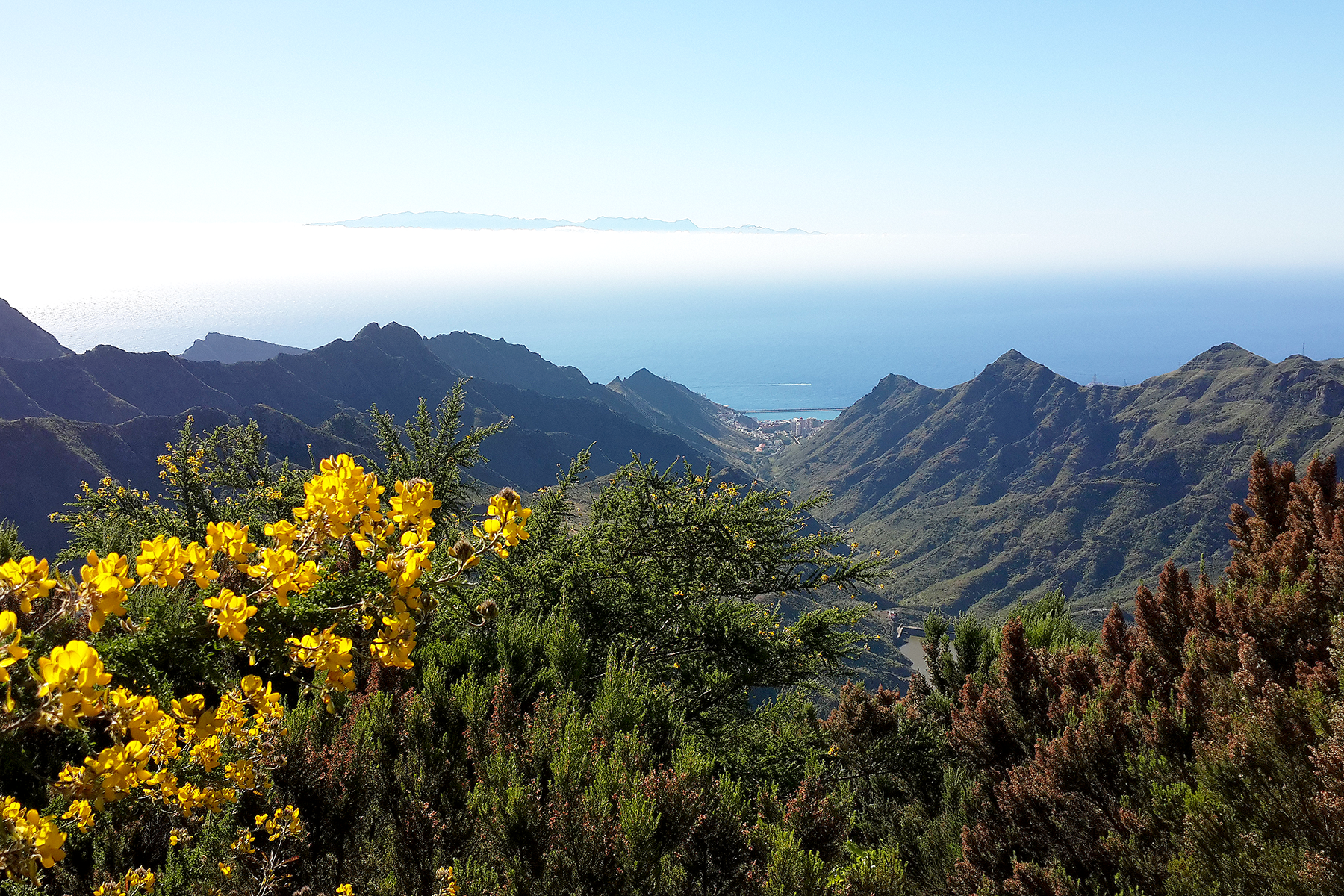 Península de Anaga Tenerife Islas Canarias