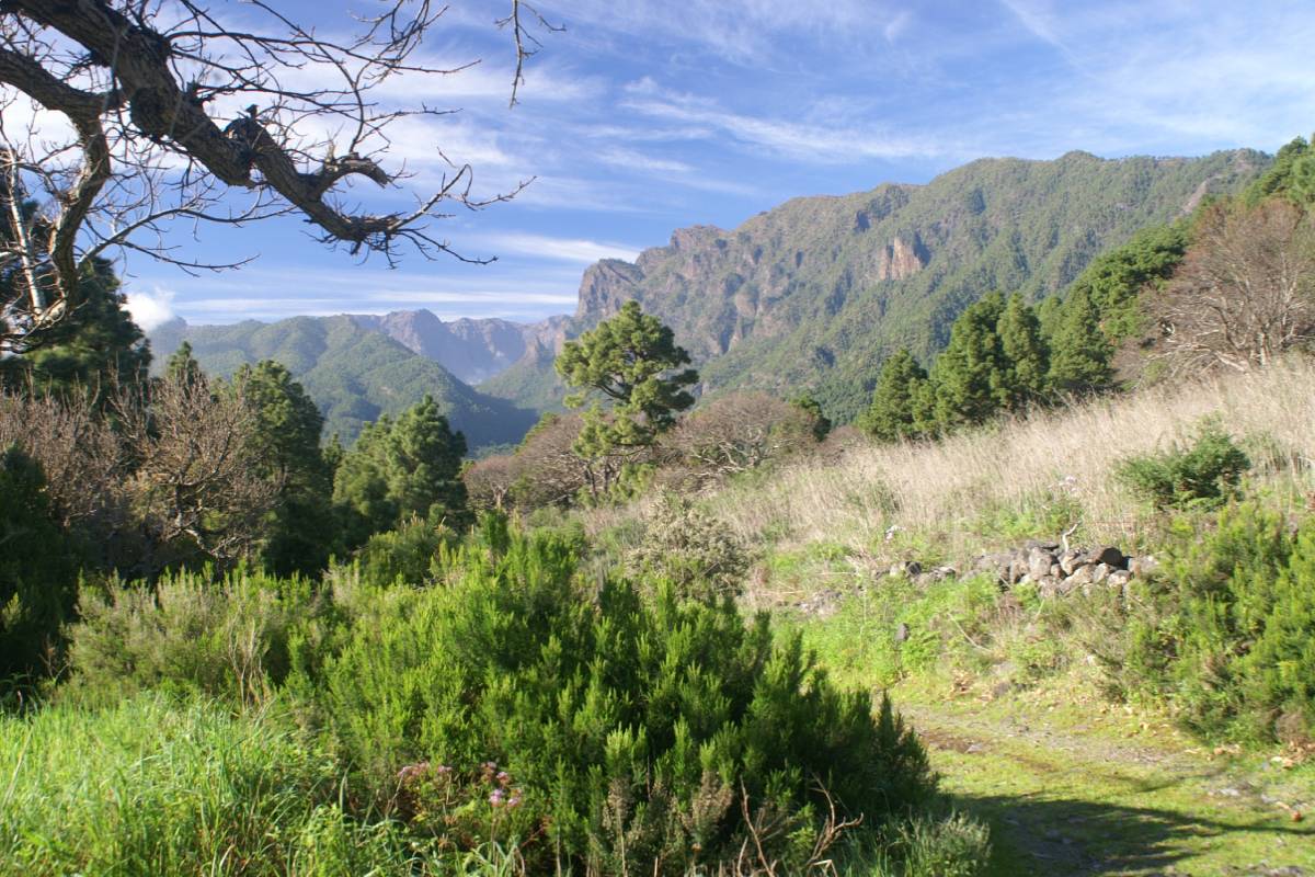 La Palma Reserva de la Biosfera