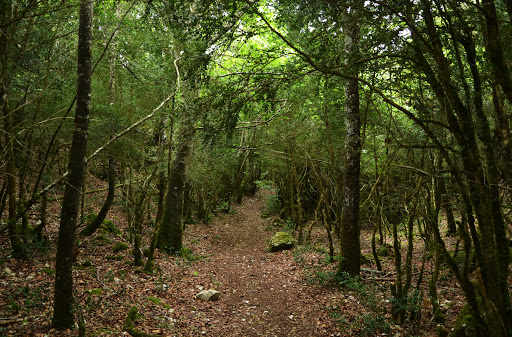 Parque Natural de Izki Condado de treviño Álava País vasco