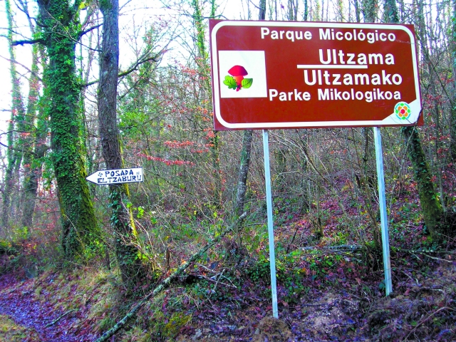 Parque micológico de Ultzama Navarra